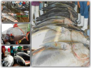 pizap.com14150665184811